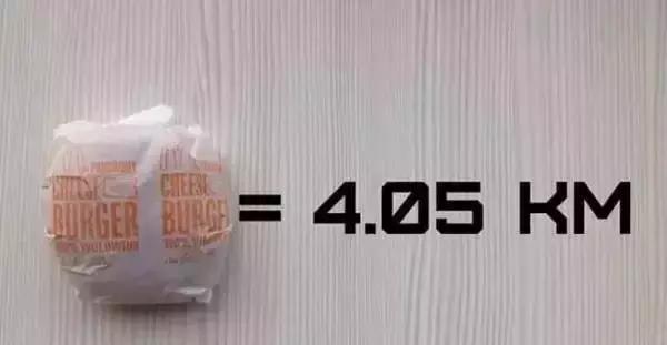 吃什么可以掉脂肪掉得快,吃了很多东西运动有用吗