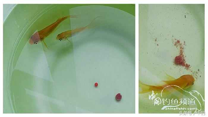 钓鱼之西部风情