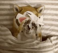 敷面膜之前怎么保养,换季时敏感肌肤可以用的保湿面膜