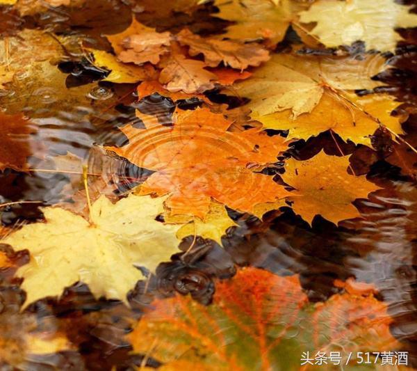 冬天黄酒泡阿胶,阿胶黄酒可以驱寒吗