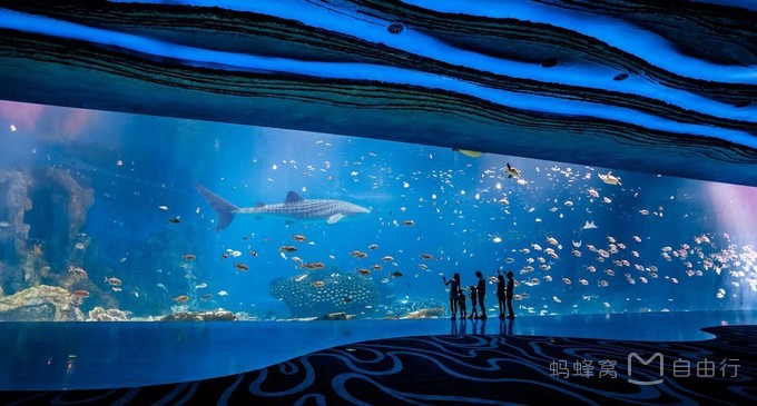 长隆度假区有哪些景点,珠海长隆度假区旅游攻略