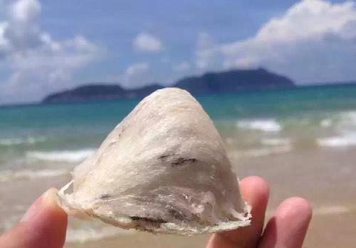 海南恋爱,谈恋爱海南