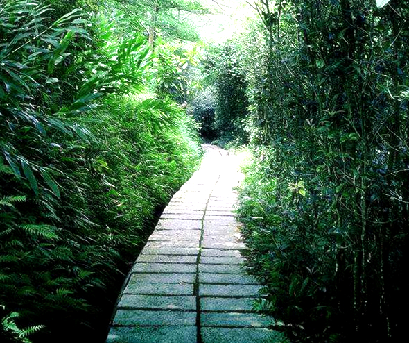 缺氧怎么补氧,胎儿缺氧怎么补氧