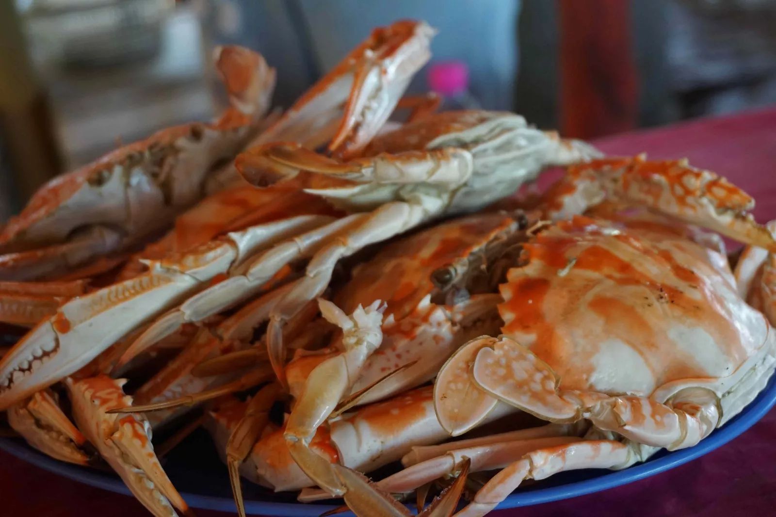 兰卡威海岛旅游六日游,兰卡威海岛之旅