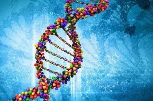 生物基因行业趋势,基因行业发展现状