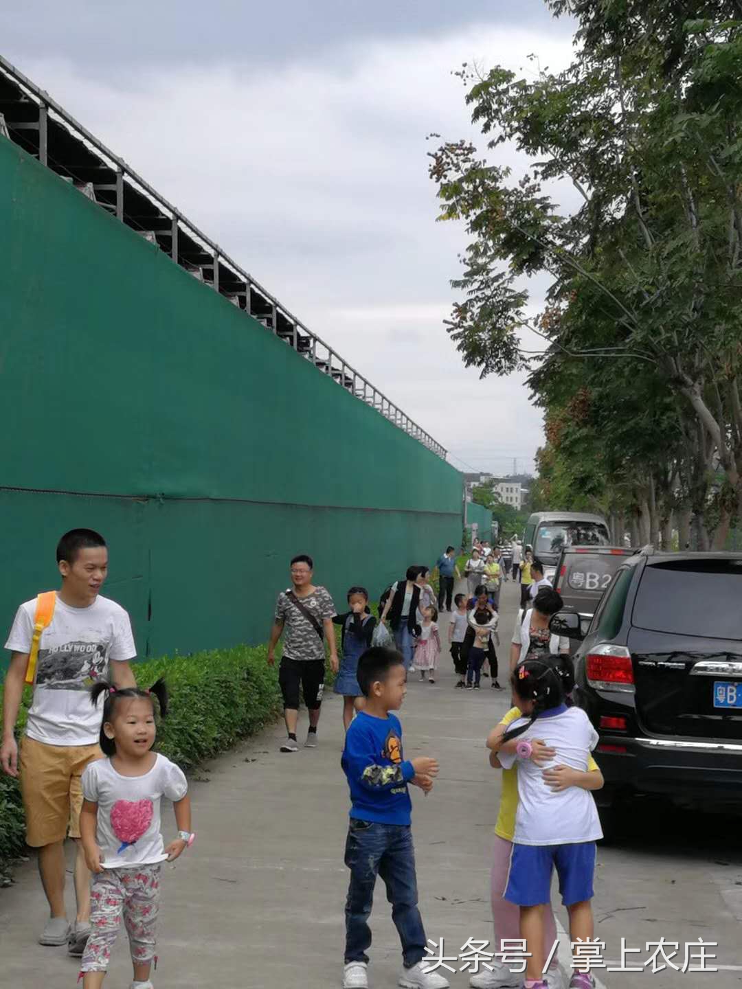 小萌豆自然学堂碧岭营地的蜜蜂课堂