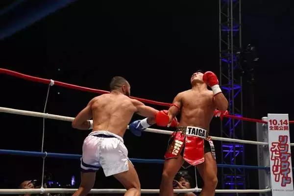 拳迷炮轰一龙完整视频,拳迷最新比赛消息