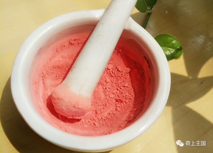 润唇口红推荐进口植物油,山茶油植物口红