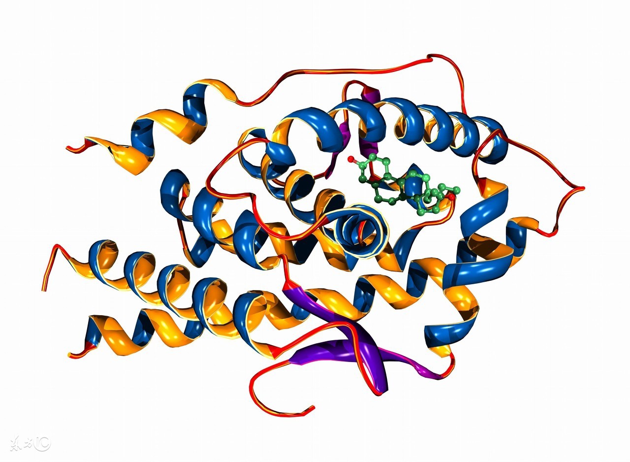 怀孕初期hcg孕酮雌二醇参考值,孕4周孕酮和hcg参考值对照表