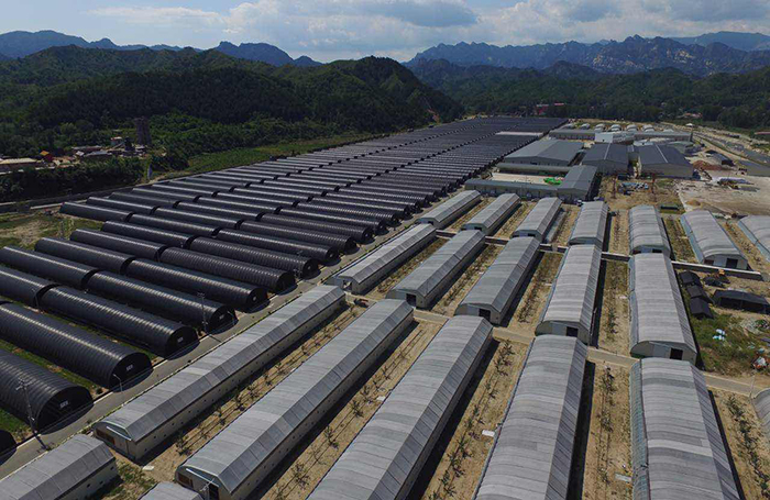 习*平近**总书记视察阜平五年后，这个贫困县有了大变化