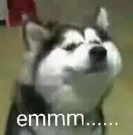 女生的情结是什么,女生情结是什么意思