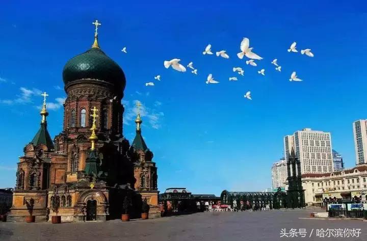 哈尔滨南岗区道里区有什么区别,哈尔滨道里区算主城区吗