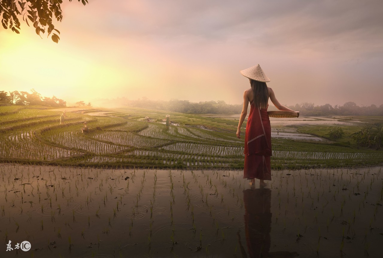 《天才枪手》——假如生活欺骗了你