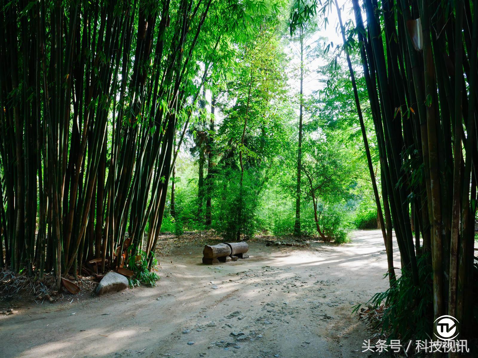 松下gh5连接大疆稳定器,松下gh5虚化