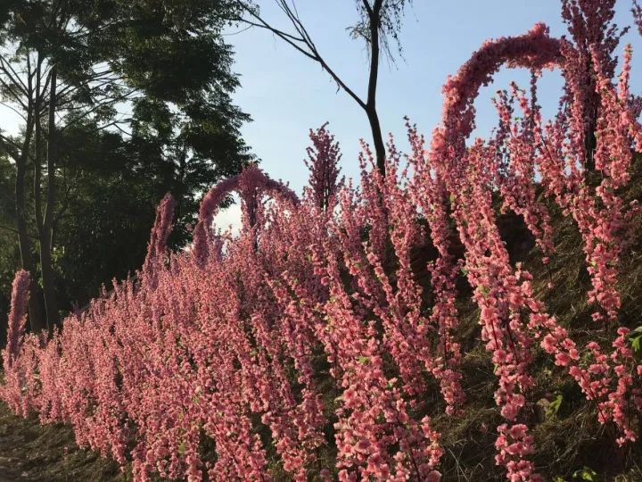 双十一光棍节活动主题,双十一光棍节图集
