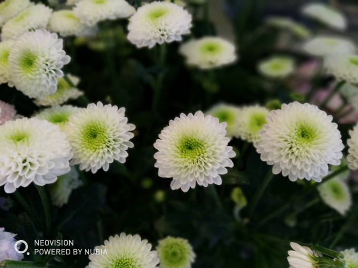 努比亚z17minis侧面照片,努比亚z17minis体验