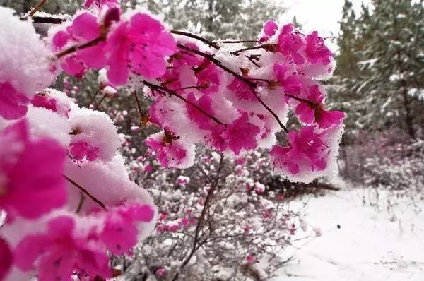 对不起我要去学校了模板,对不起我要去天津了