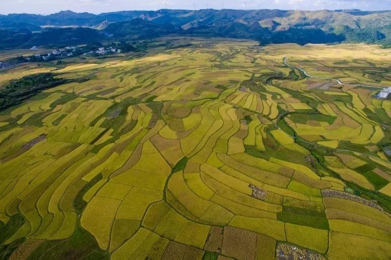 北方已经初冬了，贵州的这些地方秋意正浓，现在去正当时！