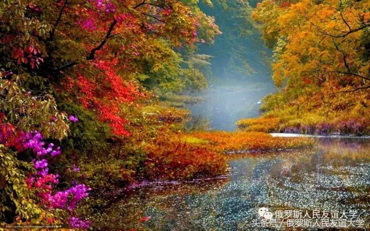 俄罗斯的秋天视频,俄罗斯的深秋美景