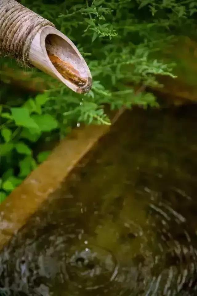 躲避浮躁城市隐身青岛首家精品民宿，一个为了孩子和逃离雾霾故事