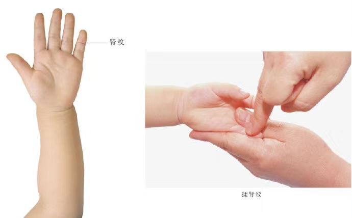 小儿推拿,小儿推拿视频免费教程全集