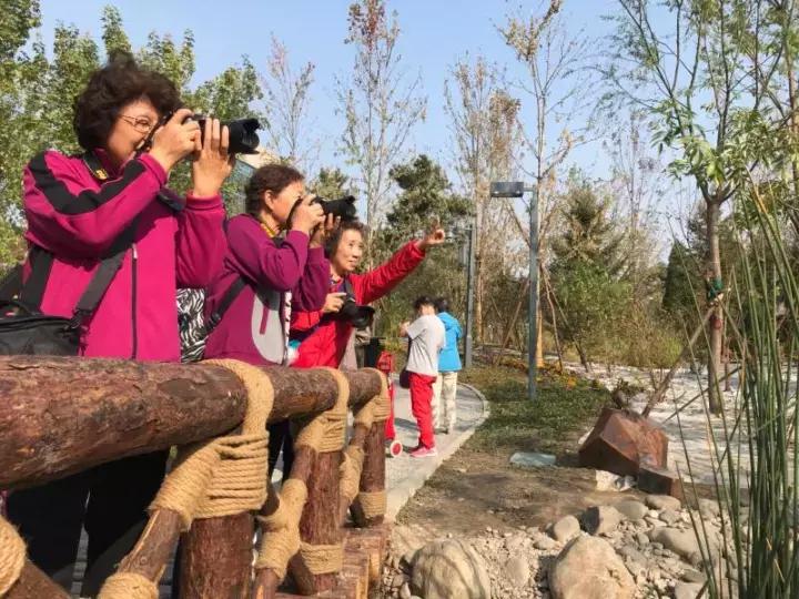 幸福像在花园一样，西城的城市客厅，邀请您常来走走停停
