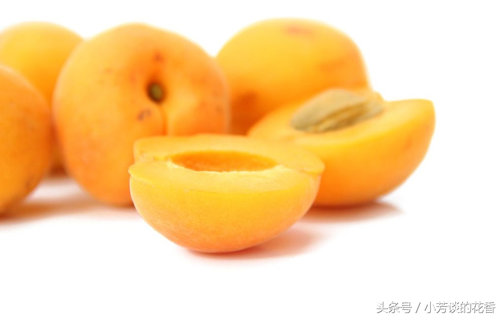 每天必吃十种水果,夏季必备5种健康水果