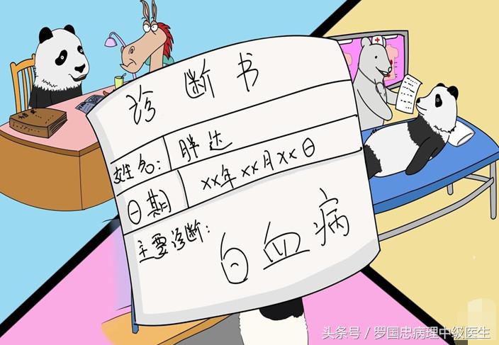 白血病康复案例,白血病病人痊愈后的总结