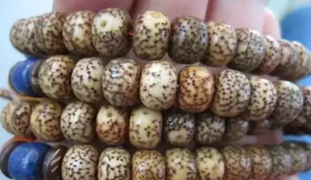 买星月菩提颜色均匀是不好吗,刚买的星月菩提怎么感觉像塑料的