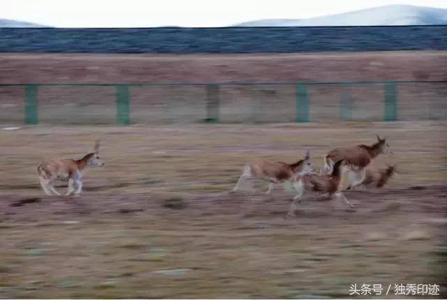 拍照模糊了怎么解决,拍照模糊如何去掉