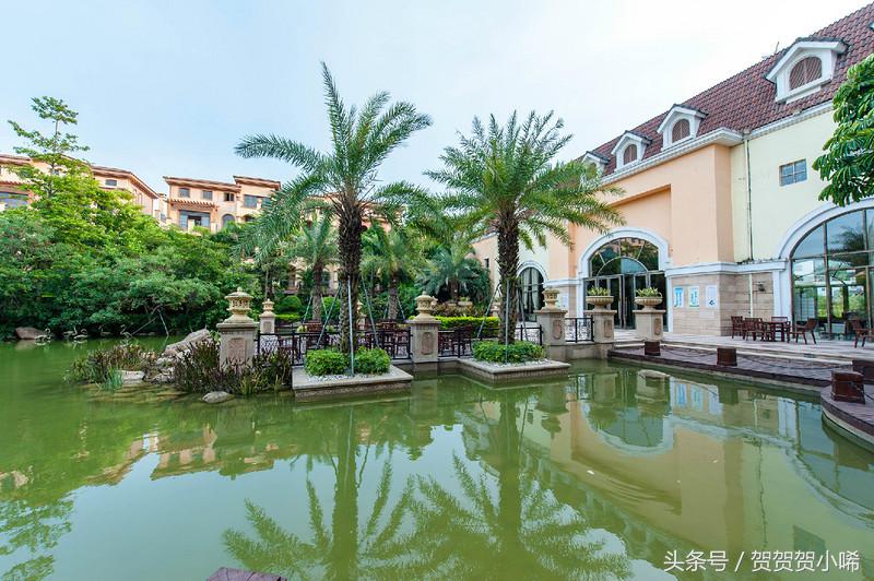 广州十大冷门自驾,广州自驾游最佳线路图最新