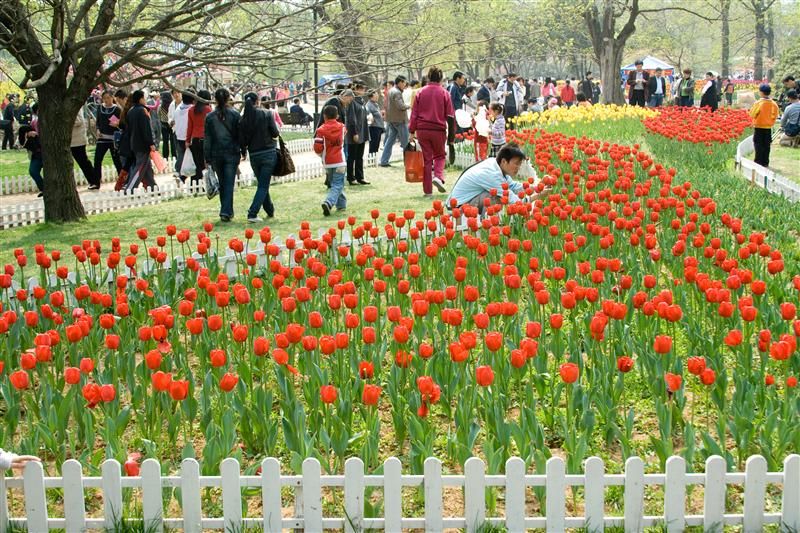 自驾游青岛自由行详细攻略,自由行青岛如何出行