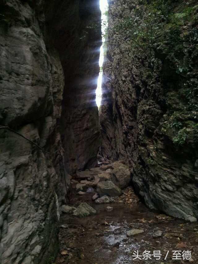 泸州深山老林景区,隐藏的世外桃源山中奇观