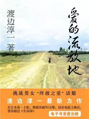 渡边淳一描写情爱的书,情爱大师小说