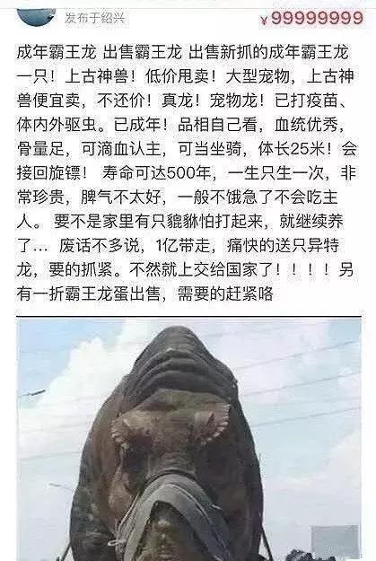 闲鱼上的奇葩东西整理,闲鱼上的那些不可思议的东西