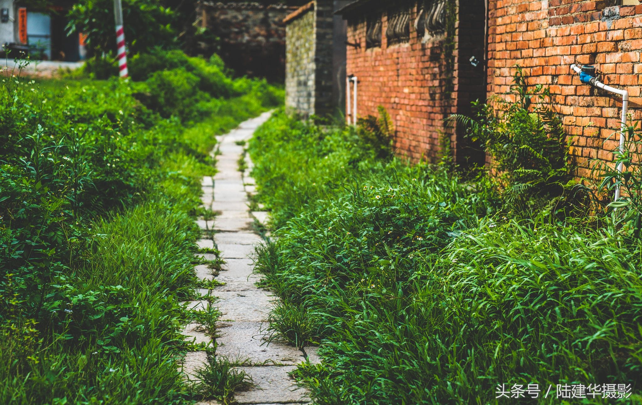 东莞世界工厂,东莞的十大古村落