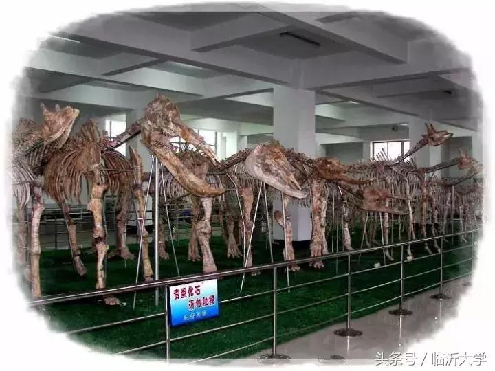 恐龙来了！上万元门票同时砸中幸运的你！