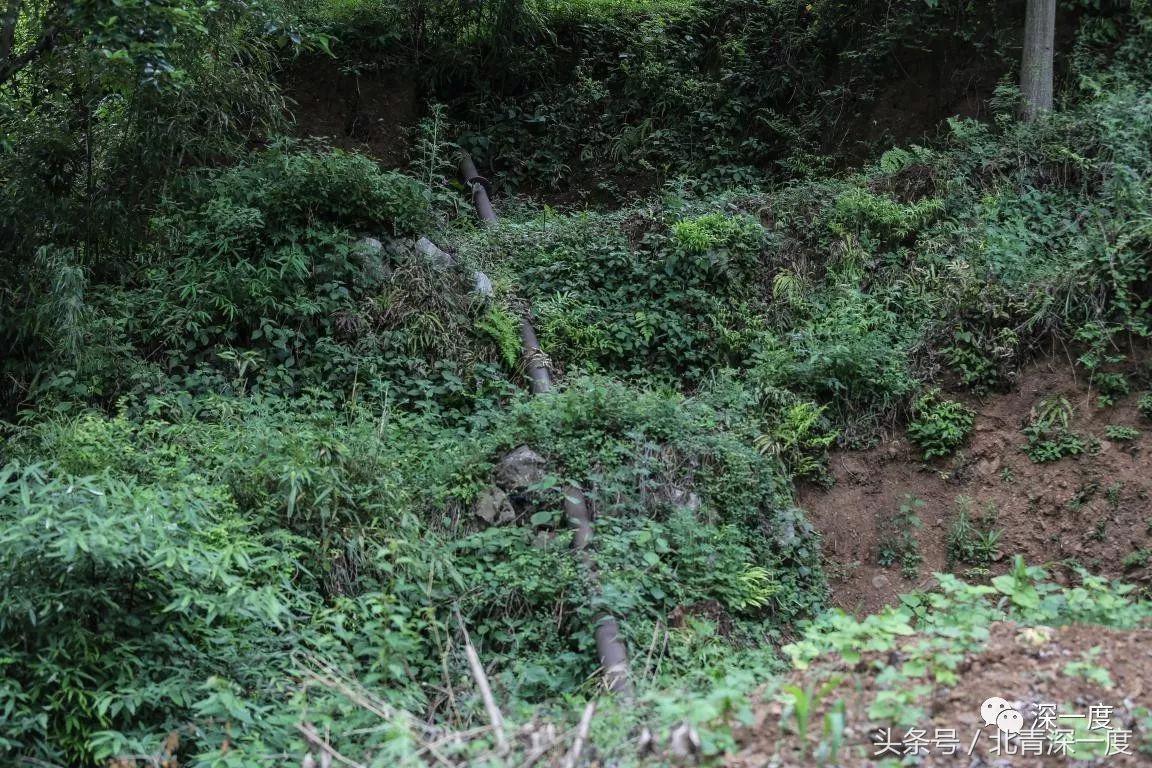 “鹿晗”在泥坑，妈妈在远方，你习以为常的幸福对他们却遥不可及