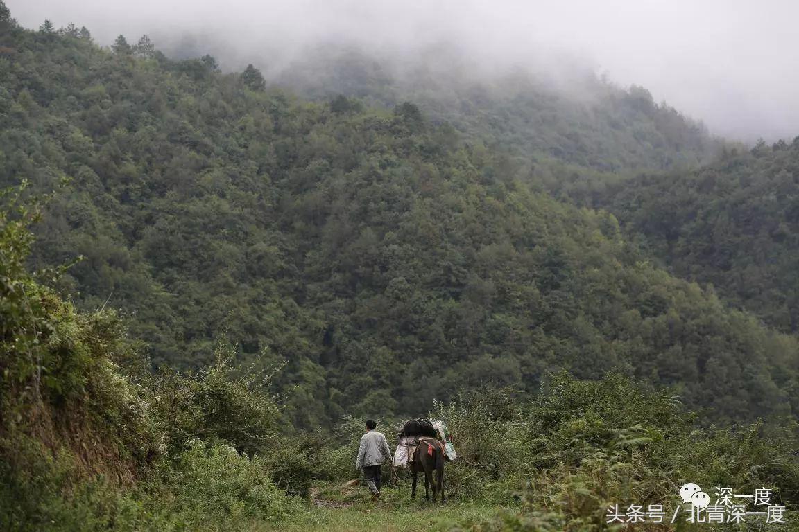 “鹿晗”在泥坑，妈妈在远方，你习以为常的幸福对他们却遥不可及