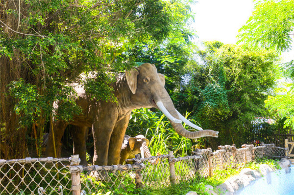 三亚看海美食攻略最值得去的地方,去三亚看海必打卡