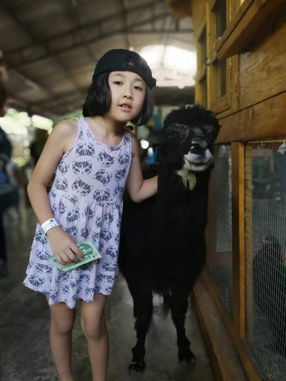 带孩子去马来西亚哪里旅游,带孩子去马来西亚学英语