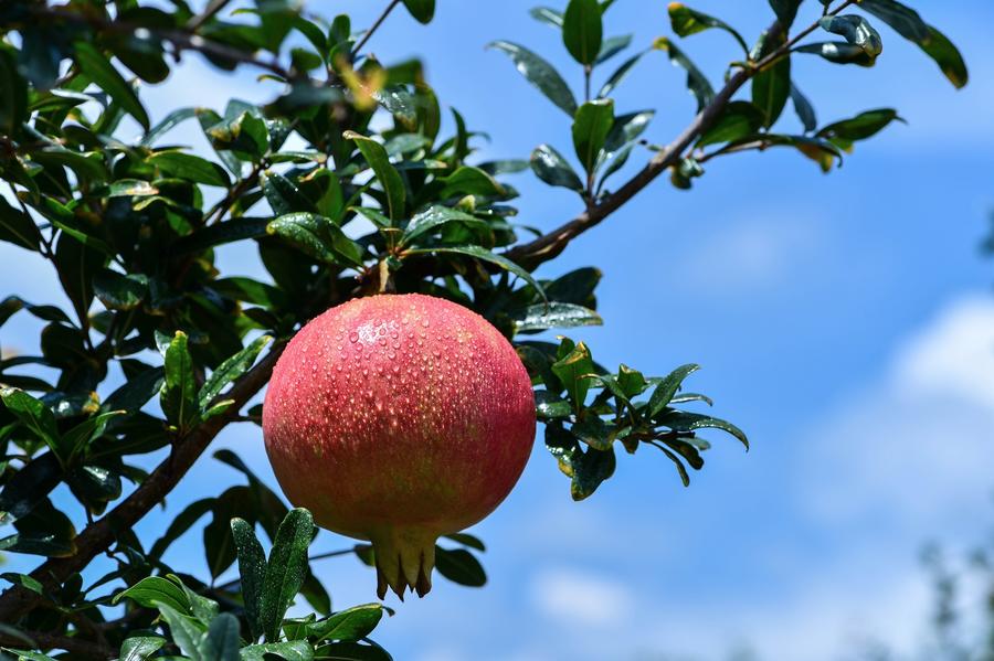 众筹突破100万,众筹突破百万元