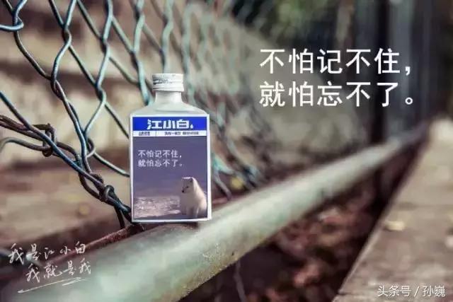 江小白如何才能实现可持续营销,江小白营销成功的商业逻辑在哪儿