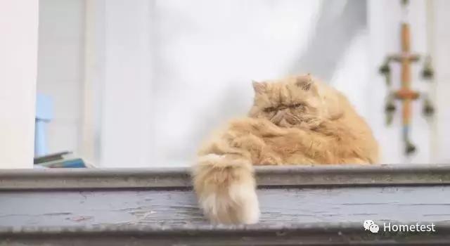 日本空气口罩测评,重松哪一款防尘口罩好用