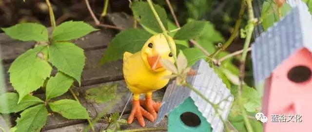 鏋楃撼鐜涘涔愬洯娓镐箰璁炬柦,鑺叞鏋楃撼鐜涘涔愬洯