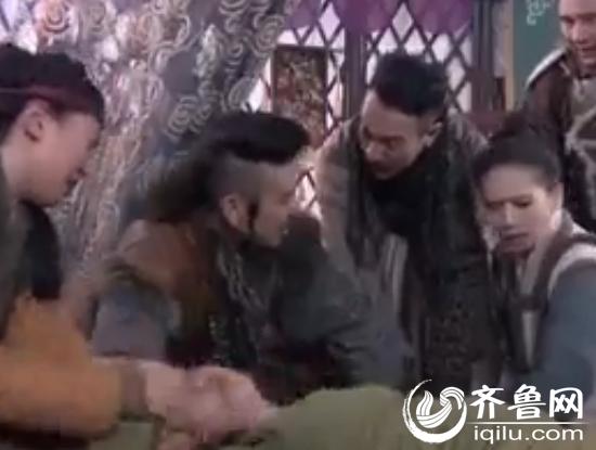 宠物天气热怎么办,被家养宠物狗咬怎么办