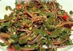 春季野菜采摘图解高清图片,春季野菜多种做法