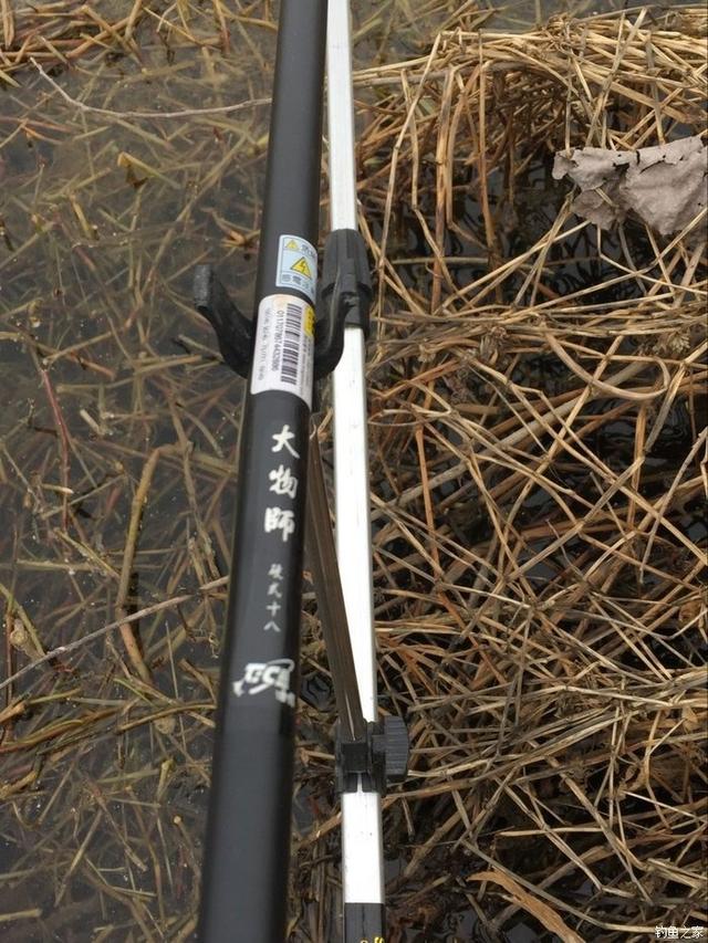 春天钓鲫鱼,春天钓黑坑新鱼