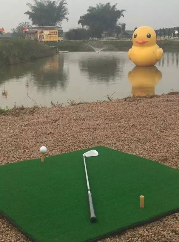 紫溪半岛现在有开放吗,紫溪半岛花海世界有水上高尔夫吗