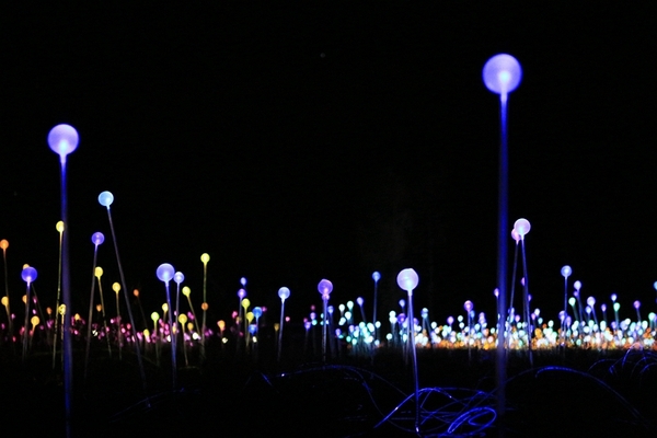 悉尼婚纱摄影店,澳洲婚纱摄影基地